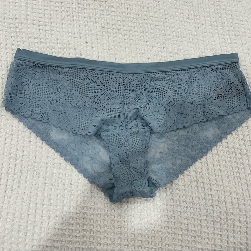 Understance Lace Blue Underwear Panties Dusty Blue NWOT